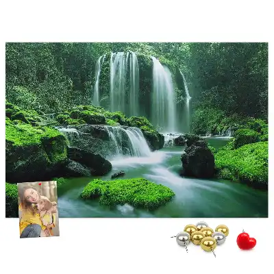 Tableau de liège Cascade parmi la mousse