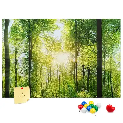 Tableau d’affichage en liège Nature forêt arbres
