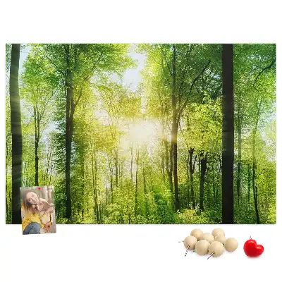 Tableau d’affichage en liège Nature forêt arbres