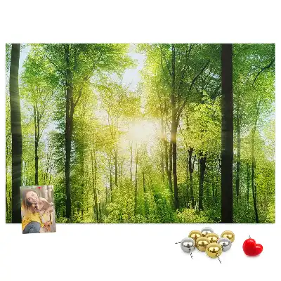 Tableau d’affichage en liège Nature forêt arbres