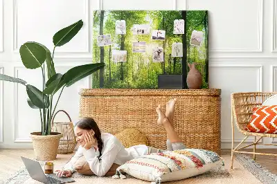 Tableau d’affichage en liège Nature forêt arbres