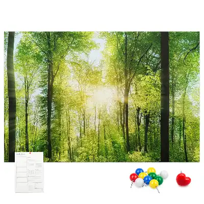 Tableau d’affichage en liège Nature forêt arbres