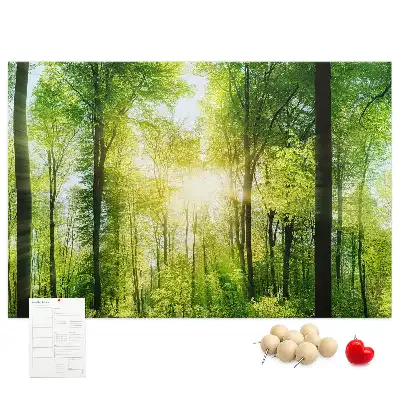 Tableau d’affichage en liège Nature forêt arbres