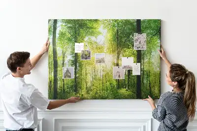 Tableau d’affichage en liège Nature forêt arbres
