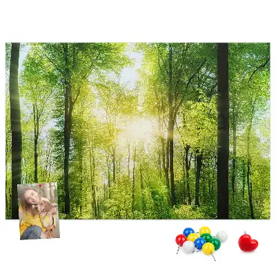 Tableau d’affichage en liège Nature forêt arbres