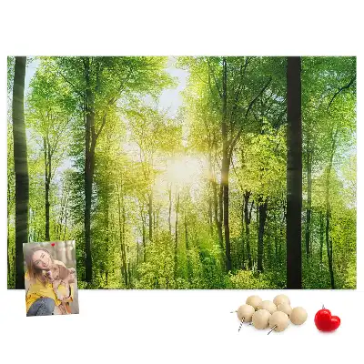 Tableau d’affichage en liège Nature forêt arbres