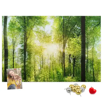 Tableau d’affichage en liège Nature forêt arbres