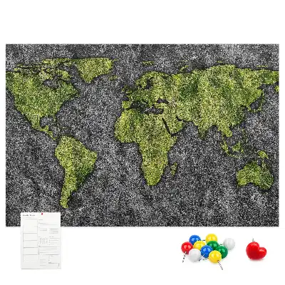 Tableau d’affichage en liège Carte du monde classique