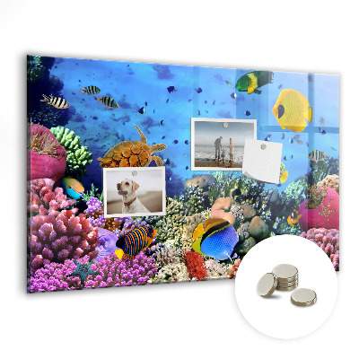 Tableau aimanté horizontal La vie sous-marine