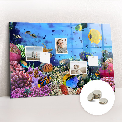 Tableau aimanté horizontal La vie sous-marine