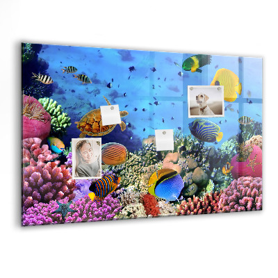 Tableau aimanté horizontal La vie sous-marine