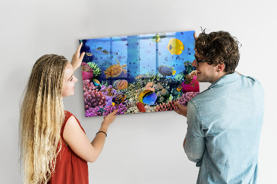Tableau aimanté horizontal La vie sous-marine