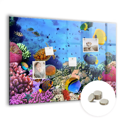 Tableau aimanté horizontal La vie sous-marine