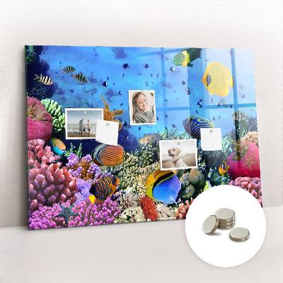 Tableau aimanté horizontal La vie sous-marine