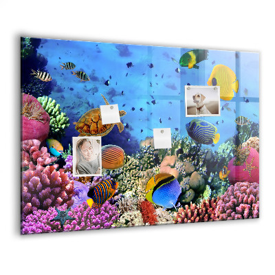 Tableau aimanté horizontal La vie sous-marine