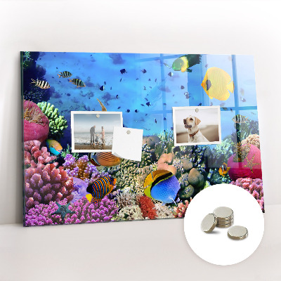 Tableau aimanté horizontal La vie sous-marine
