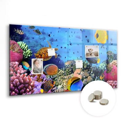 Tableau aimanté horizontal La vie sous-marine