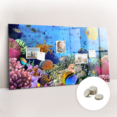 Tableau aimanté horizontal La vie sous-marine
