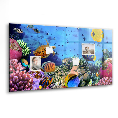Tableau aimanté horizontal La vie sous-marine
