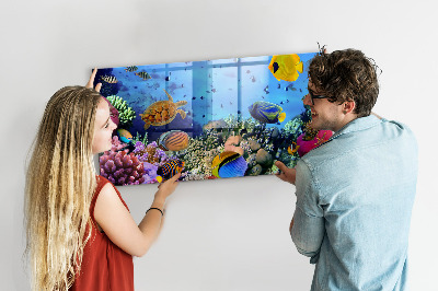 Tableau aimanté horizontal La vie sous-marine