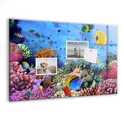 Tableau aimanté horizontal La vie sous-marine