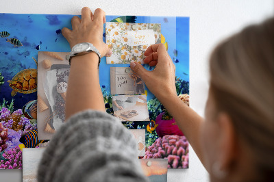Tableau aimanté horizontal La vie sous-marine
