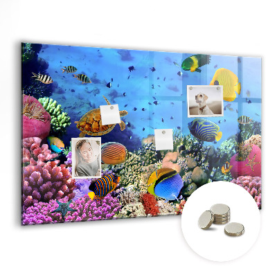 Tableau aimanté horizontal La vie sous-marine