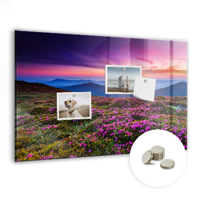 Tableau pour magnet Fleurs du lever du soleil