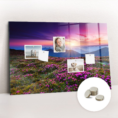 Tableau pour magnet Fleurs du lever du soleil