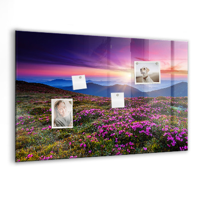 Tableau pour magnet Fleurs du lever du soleil