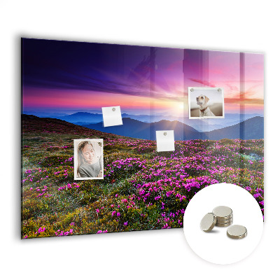 Tableau pour magnet Fleurs du lever du soleil