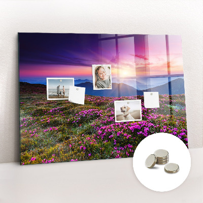 Tableau pour magnet Fleurs du lever du soleil