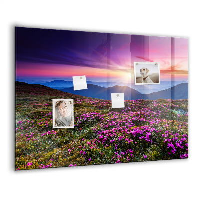 Tableau pour magnet Fleurs du lever du soleil