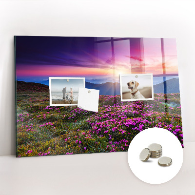 Tableau pour magnet Fleurs du lever du soleil