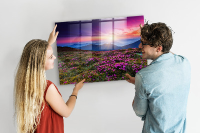 Tableau pour magnet Fleurs du lever du soleil