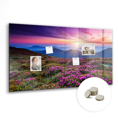 Tableau pour magnet Fleurs du lever du soleil