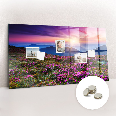 Tableau pour magnet Fleurs du lever du soleil