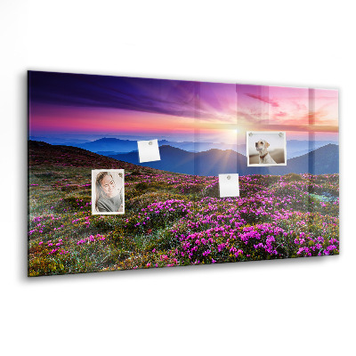 Tableau pour magnet Fleurs du lever du soleil