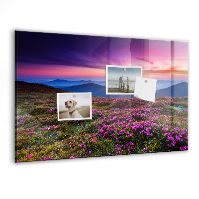 Tableau pour magnet Fleurs du lever du soleil