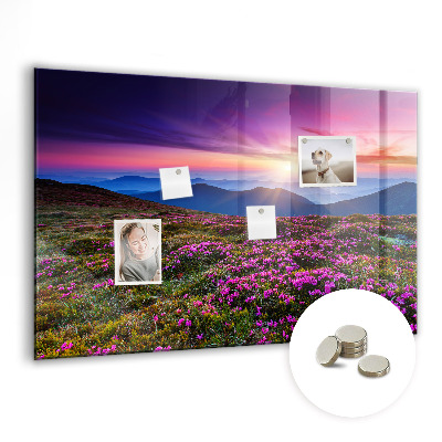 Tableau pour magnet Fleurs du lever du soleil