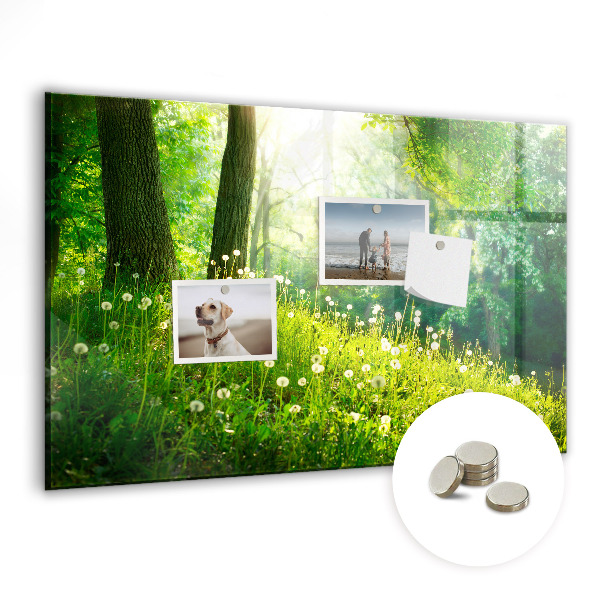 Tableau aimanté horizontal Nature printanière