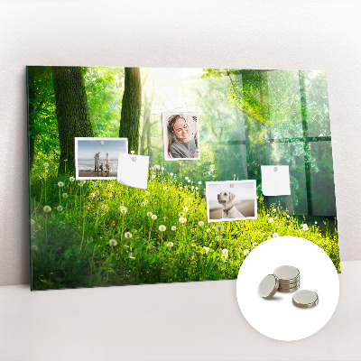 Tableau aimanté horizontal Nature printanière