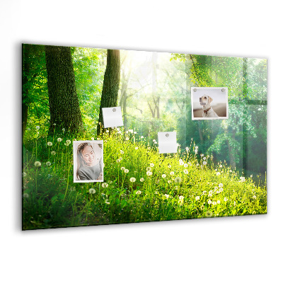 Tableau aimanté horizontal Nature printanière
