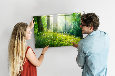 Tableau aimanté horizontal Nature printanière