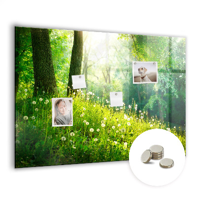 Tableau aimanté horizontal Nature printanière