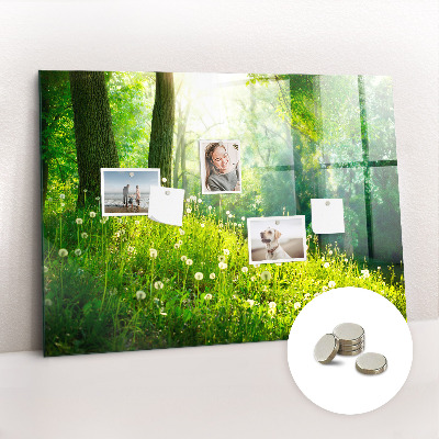 Tableau aimanté horizontal Nature printanière