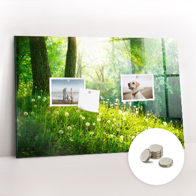 Tableau aimanté horizontal Nature printanière