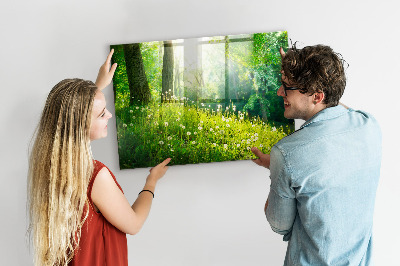 Tableau aimanté horizontal Nature printanière