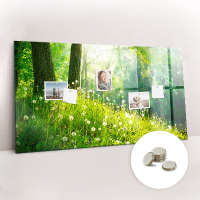 Tableau aimanté horizontal Nature printanière