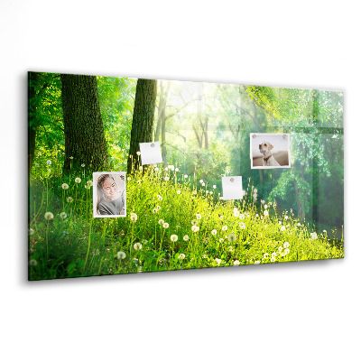 Tableau aimanté horizontal Nature printanière